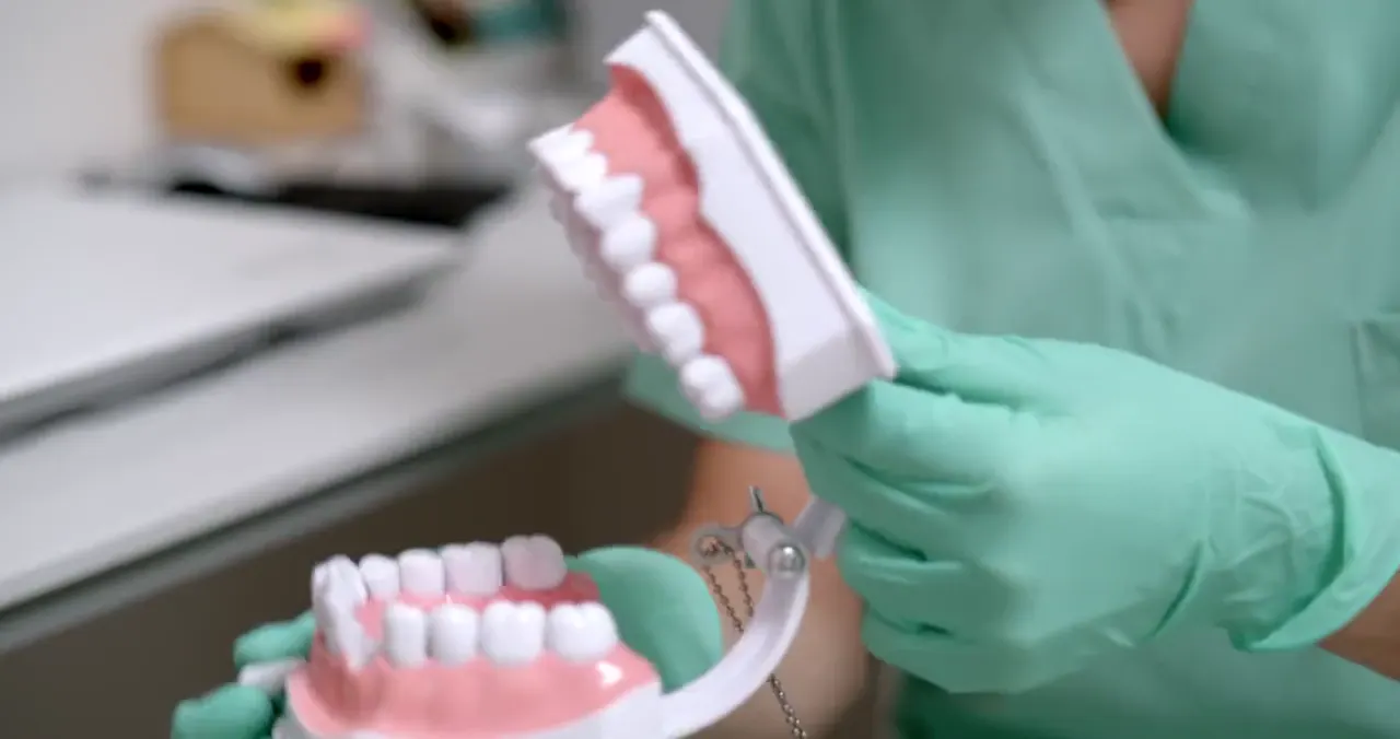 Una dentista explica un tractament amb un model de la boca