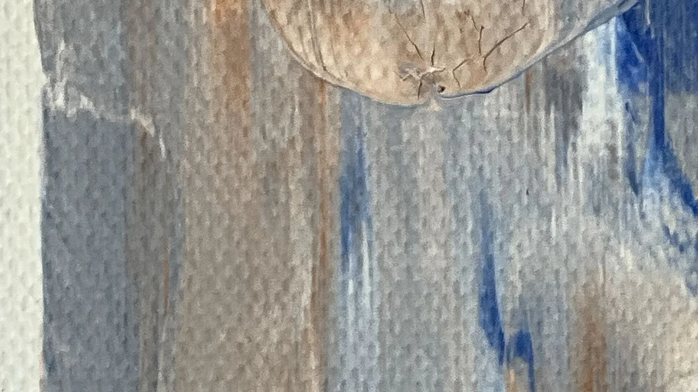 Detall de «Camp de silenci VII»: la textura de la pintura
